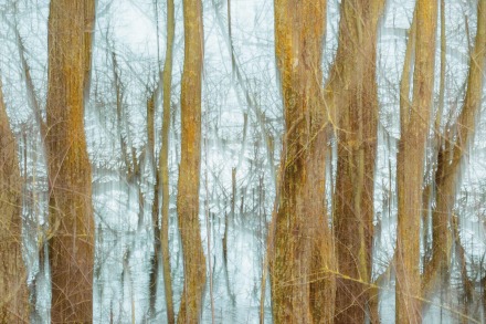 Laura Feixas Foto Cataleg 1 1