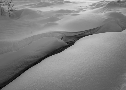 Daniel Sanchez Foto Cataleg 1 1