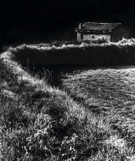 Whatsapp Image 2025 12 16 At 10 47 42